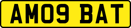 AM09BAT