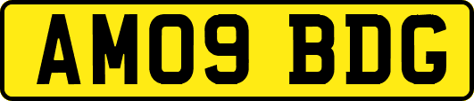 AM09BDG
