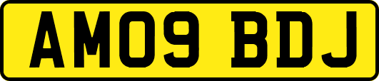 AM09BDJ