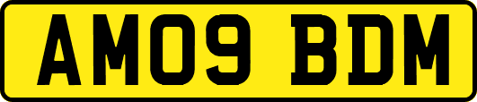 AM09BDM