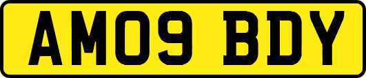 AM09BDY