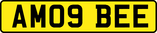 AM09BEE