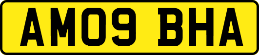 AM09BHA