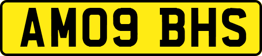 AM09BHS