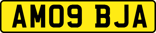 AM09BJA