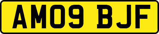 AM09BJF