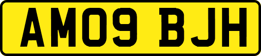 AM09BJH