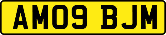 AM09BJM