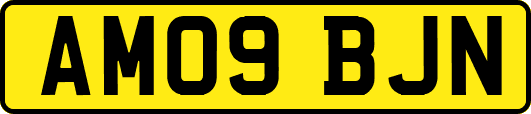 AM09BJN