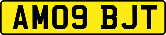 AM09BJT