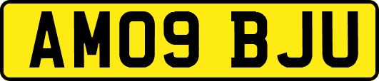 AM09BJU