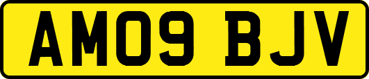 AM09BJV