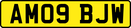 AM09BJW