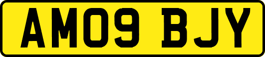 AM09BJY