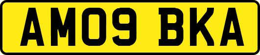 AM09BKA