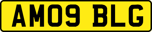 AM09BLG