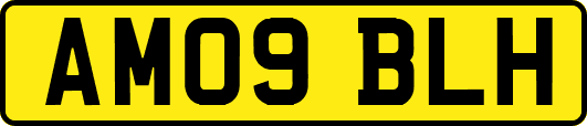 AM09BLH