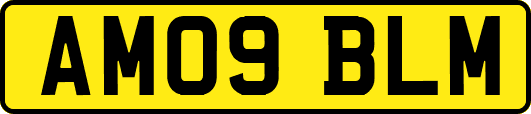 AM09BLM