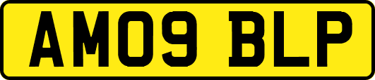 AM09BLP