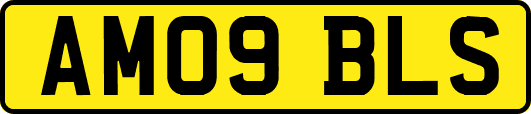 AM09BLS