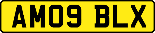 AM09BLX