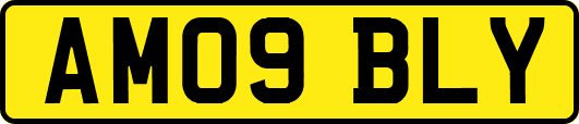 AM09BLY