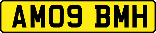 AM09BMH