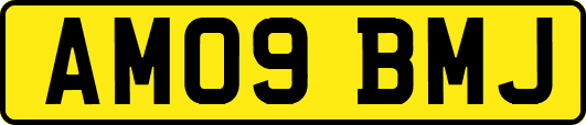 AM09BMJ