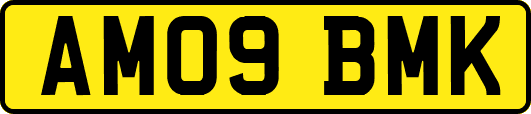 AM09BMK