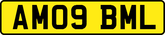 AM09BML