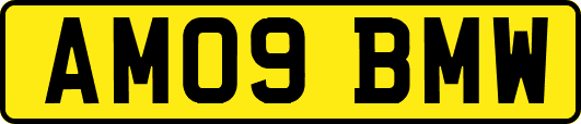 AM09BMW