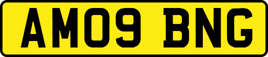 AM09BNG