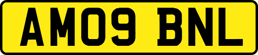 AM09BNL