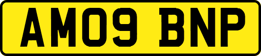 AM09BNP