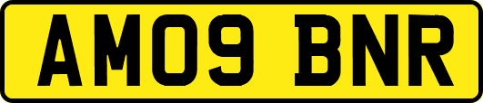 AM09BNR