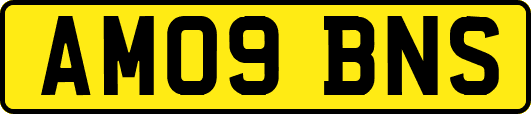 AM09BNS
