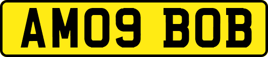 AM09BOB