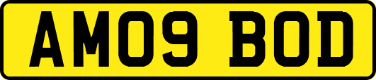 AM09BOD