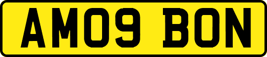 AM09BON