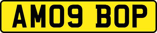 AM09BOP