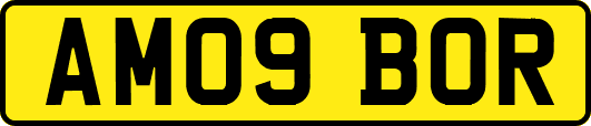 AM09BOR