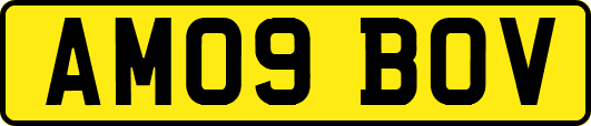 AM09BOV