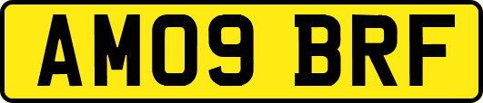AM09BRF