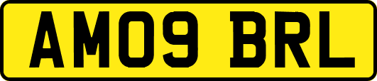 AM09BRL