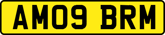 AM09BRM