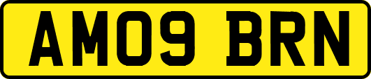 AM09BRN