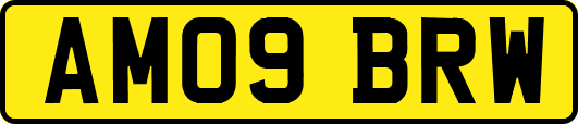 AM09BRW