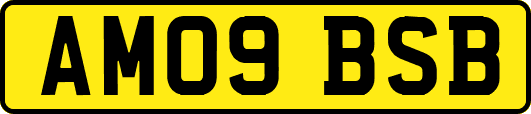 AM09BSB