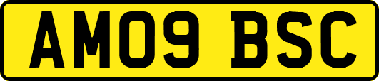 AM09BSC