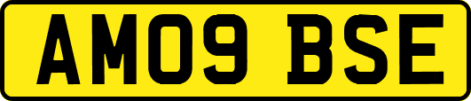 AM09BSE